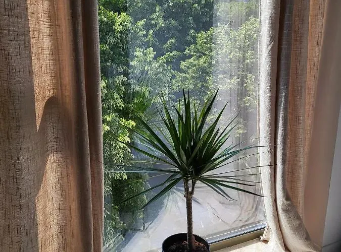 Apartament Wave Belona *